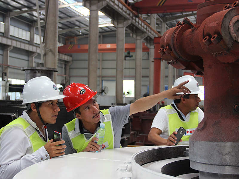 Els clients estrangers visiten la fàbrica HCM-4